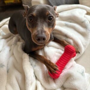 Meet your Posher, Keeley